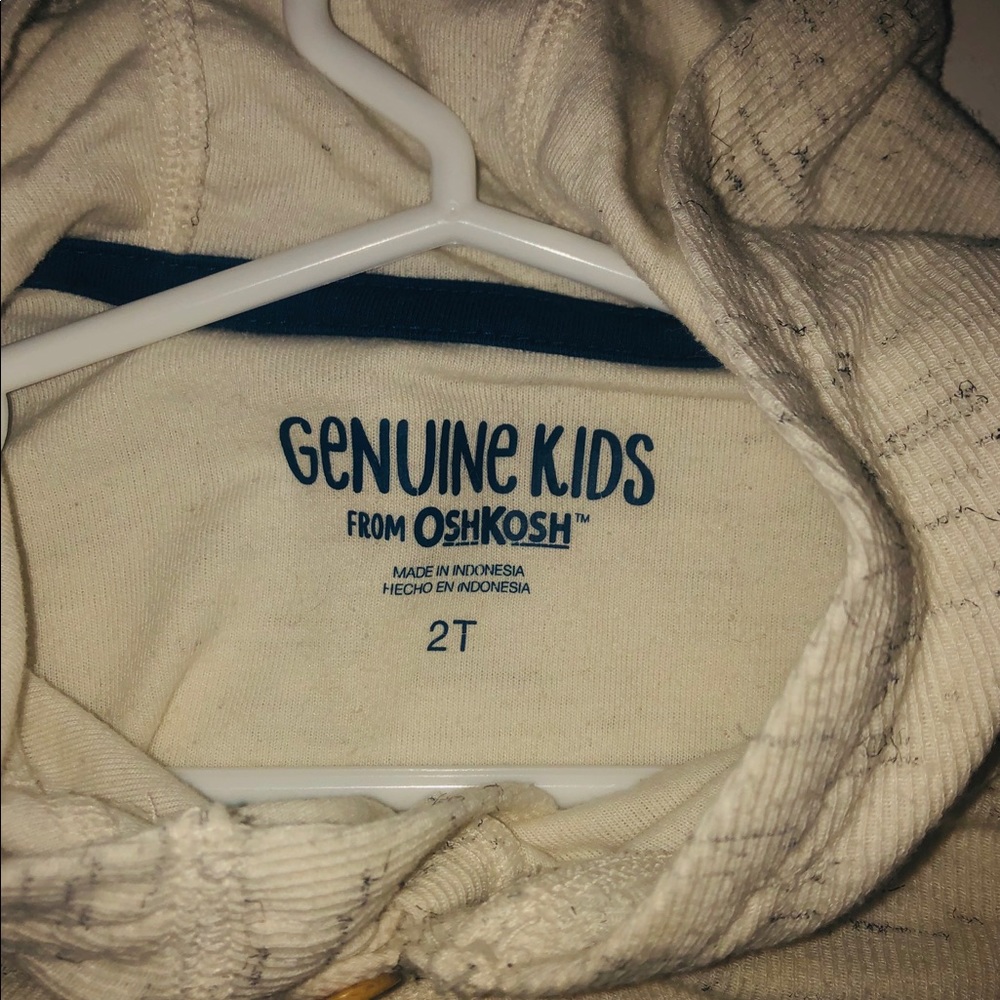 Toddler boys hooded sweatshirt